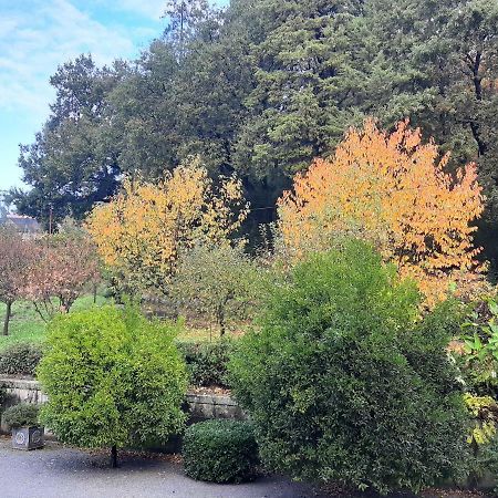 Casa Da Espinhosa Bed & Breakfast Guimarães Eksteriør bilde