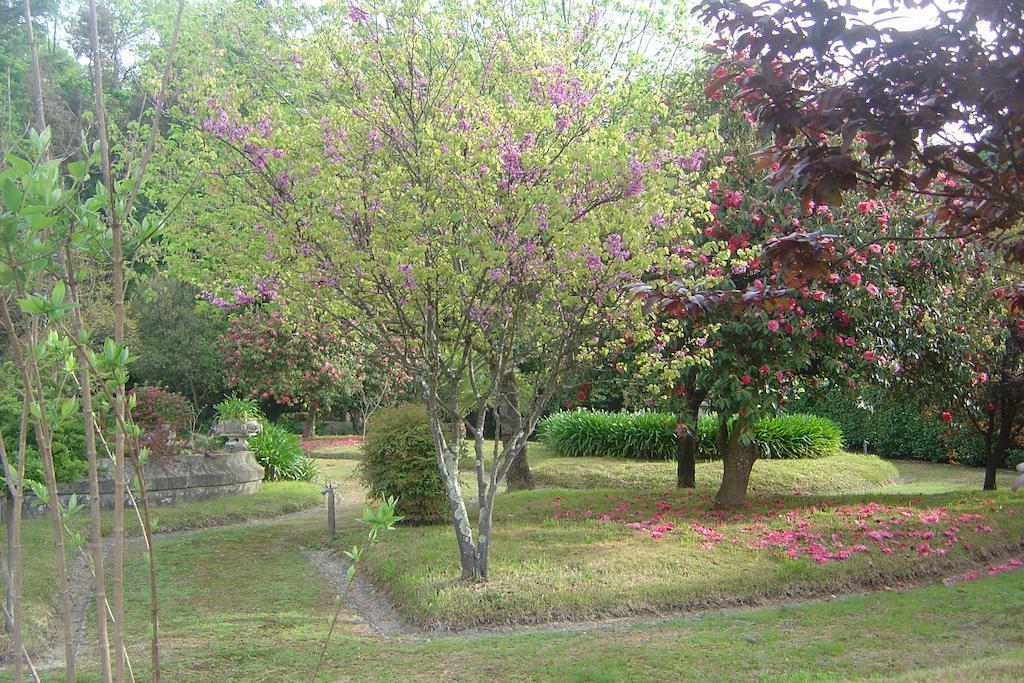 Casa Da Espinhosa Bed & Breakfast Guimarães Eksteriør bilde