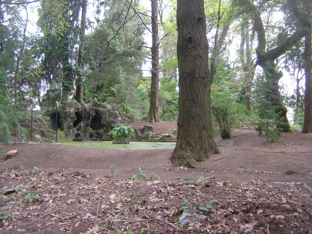 Casa Da Espinhosa Bed & Breakfast Guimarães Eksteriør bilde