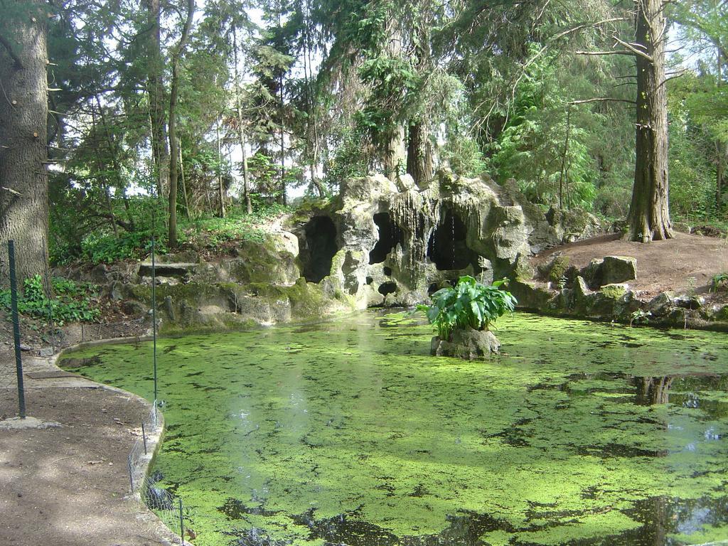 Casa Da Espinhosa Bed & Breakfast Guimarães Eksteriør bilde