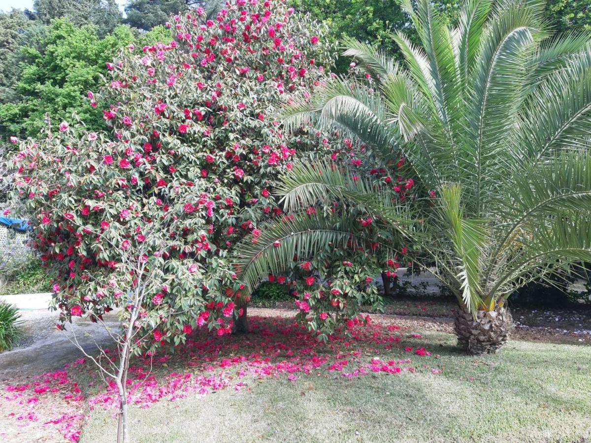 Casa Da Espinhosa Bed & Breakfast Guimarães Eksteriør bilde